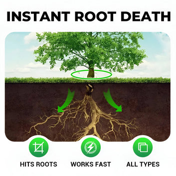 Cyclosinone Herbicide Granules – Pack of 2 (Indian-Made, 100% Genuine)